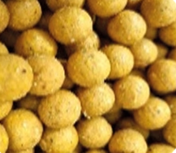 5kg Boilies