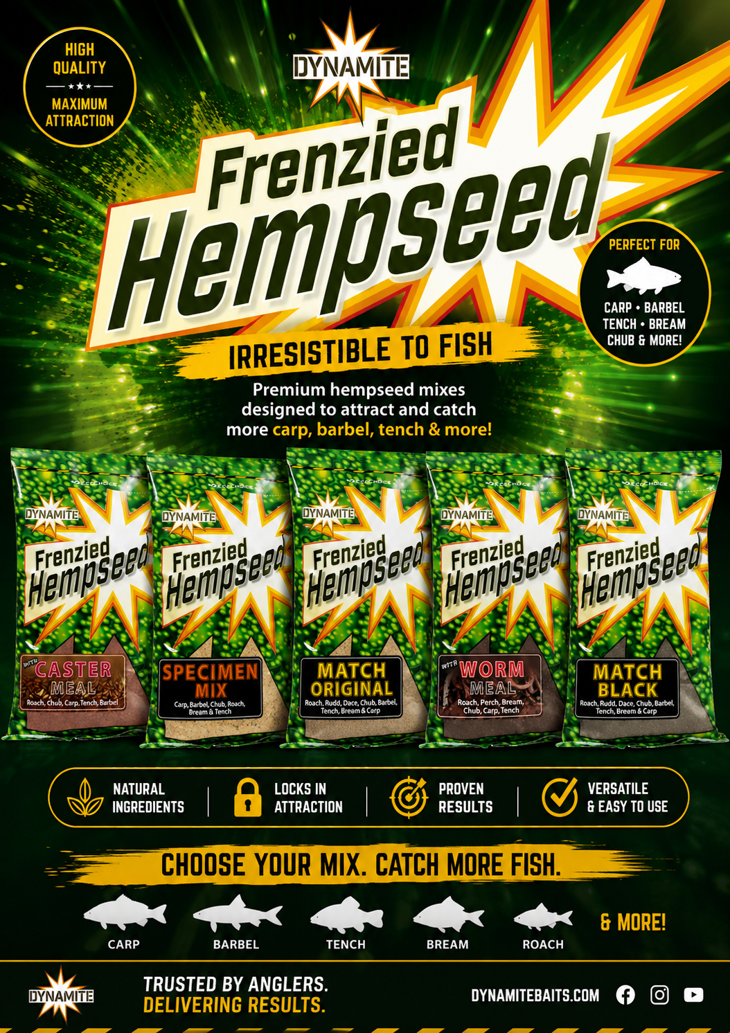 Frenzied Hempseed Groundbait: Why It Works for Coarse Fishing